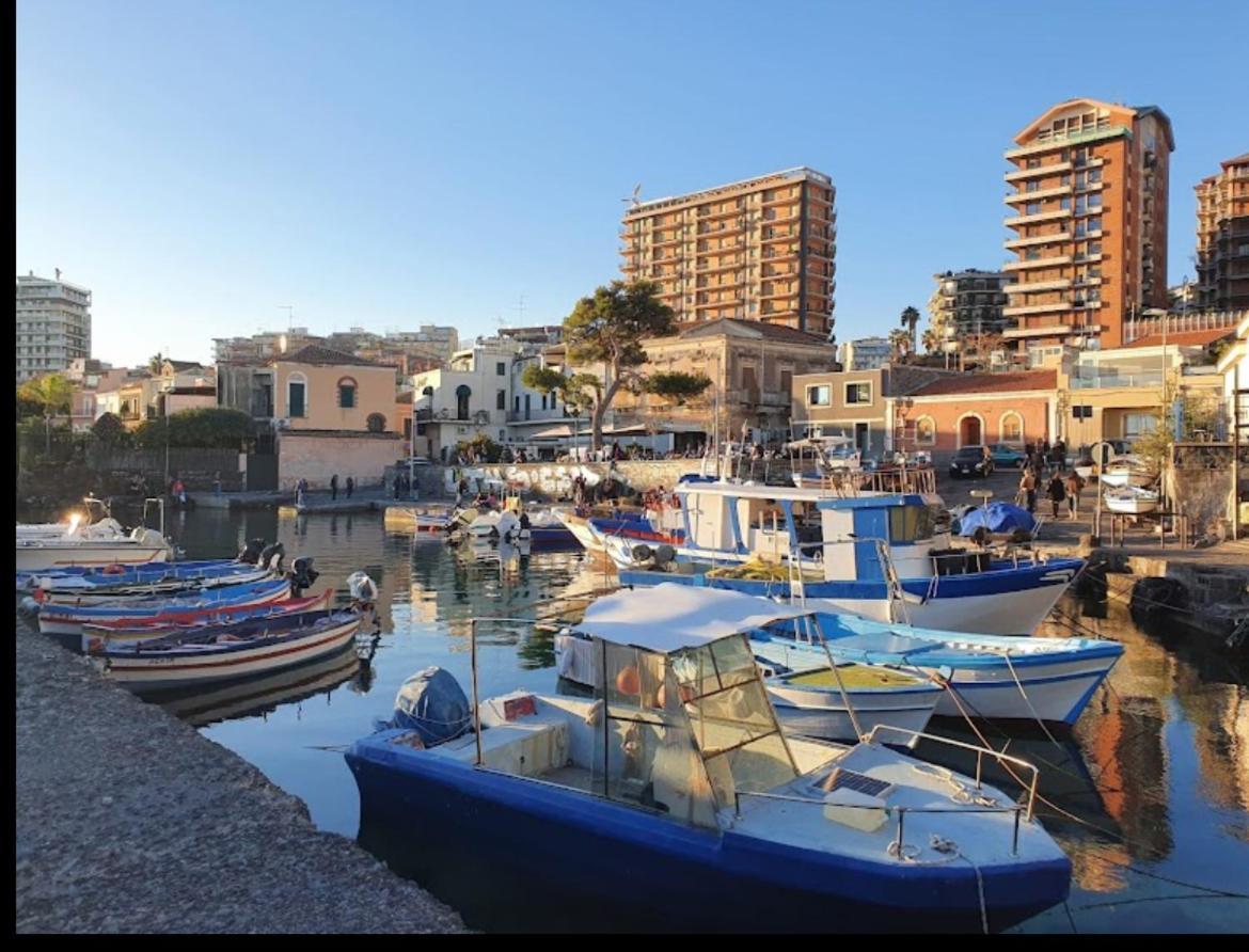 Vico Li Cuti